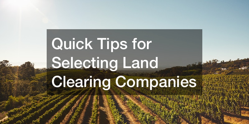 land clearing companies