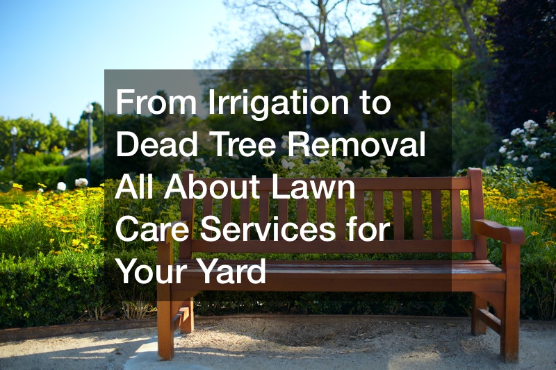 From Irrigation to Dead Tree Removal  All About Lawn Care Services for Your Yard