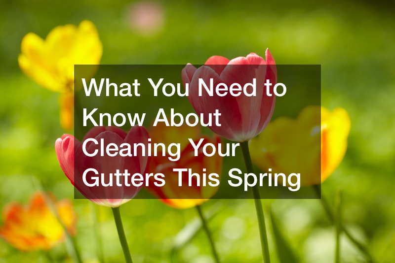 What You Need to Know About Cleaning Out Gutters This Spring