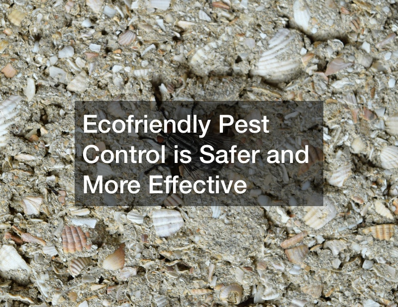 Ecofriendly Pest Control is Safer and More Effective