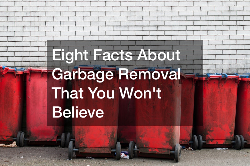 Eight Facts about Garbage Removal That You Won’t Believe