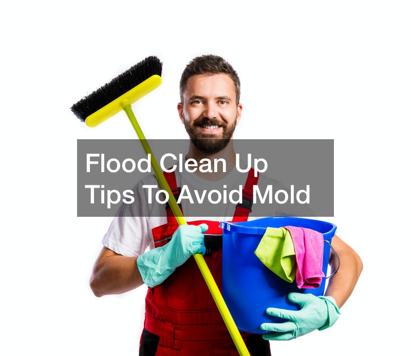 Flood Clean Up Tips To Avoid Mold