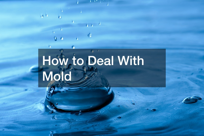 How to Deal With Mold