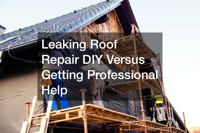 Leaking Roof Repair DIY Versus Getting Professional Help