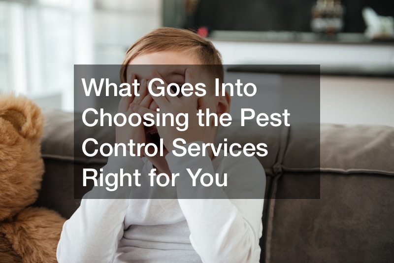 What Goes Into Choosing the Pest Control Services Right for You