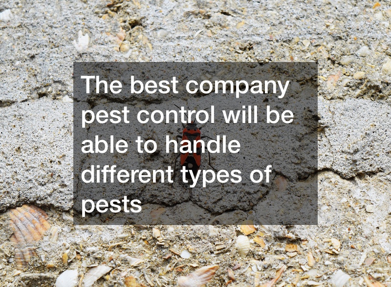 Important Considerations For Pest Control Services