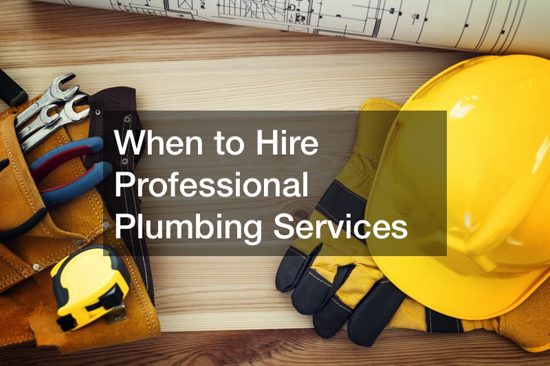When to Hire Professional Plumbing Services