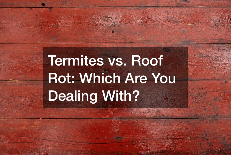 Termites vs. Roof Rot  Which Are You Dealing With?