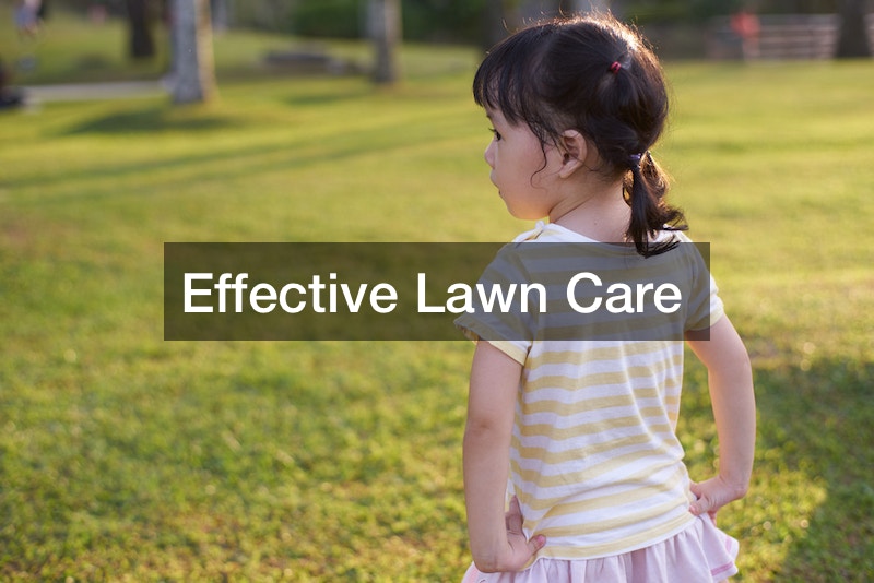 Effective Lawn Care