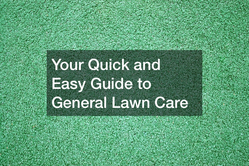 Your Quick and Easy Guide to General Lawn Care