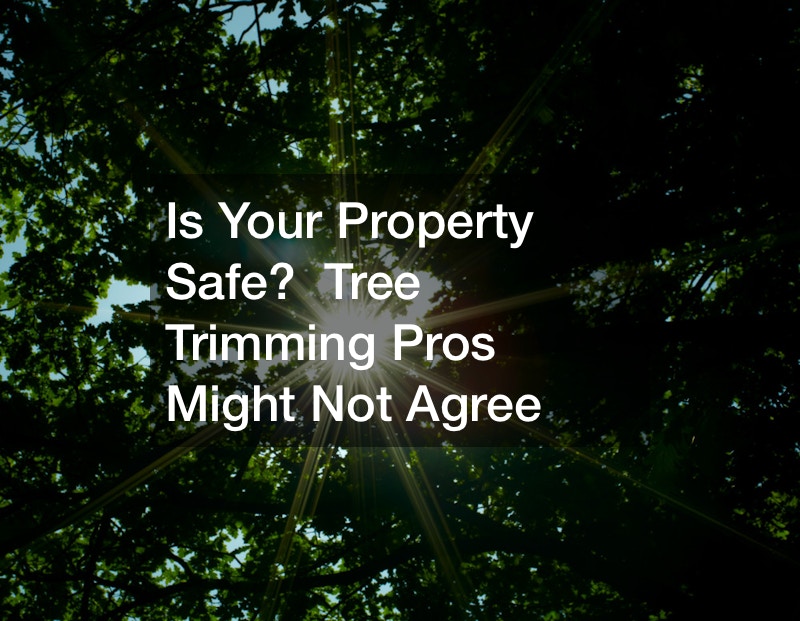 Is Your Property Safe?  Tree Trimming Pros Might Not Agree