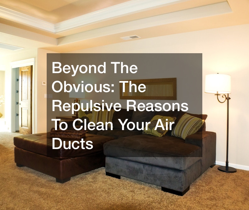Beyond The Obvious: The Repulsive Reasons To Clean Your Air Ducts