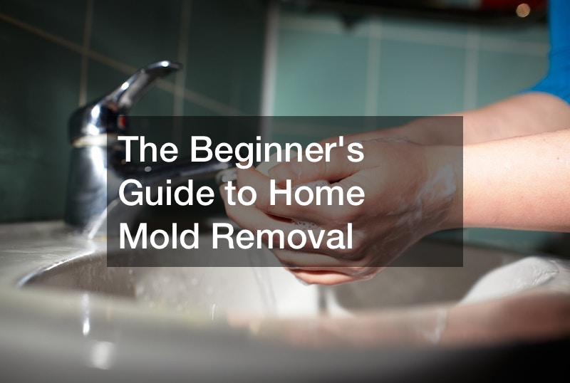 The Beginners Guide to Home Mold Removal
