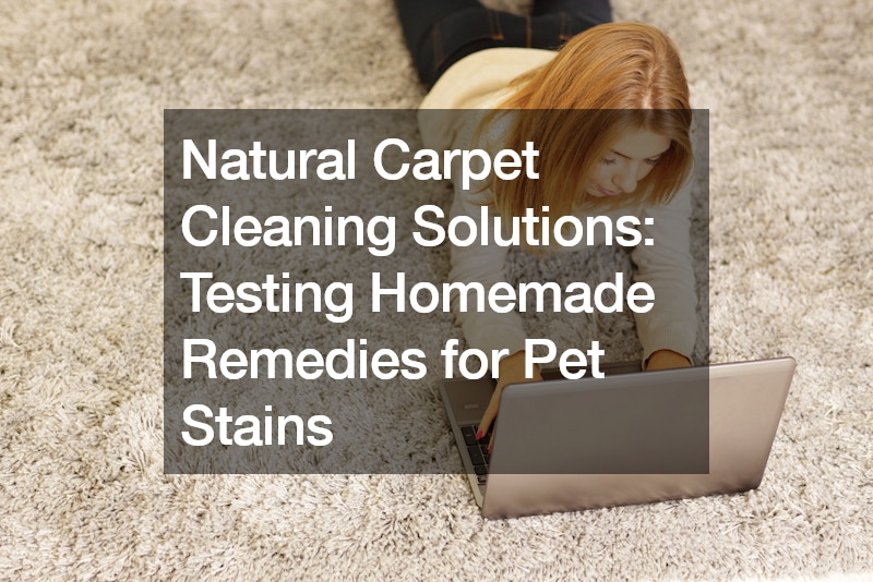 Natural Carpet Cleaning Solutions  Testing Homemade Remedies for Pet Stains