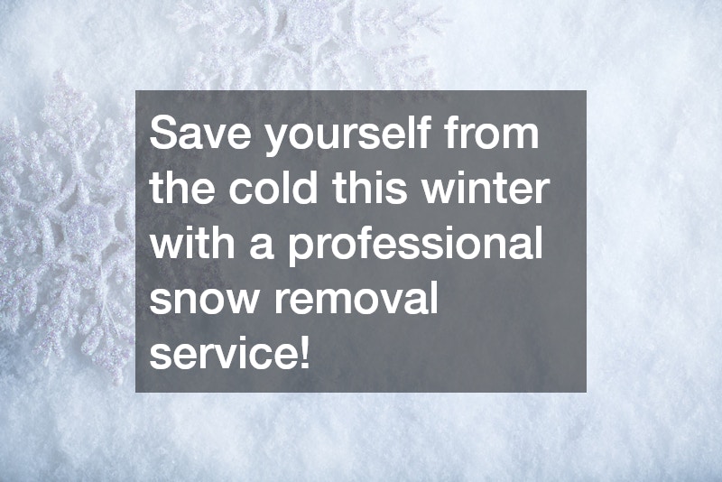 Three Reasons That Show Why Snow Removal Services Are Worth It